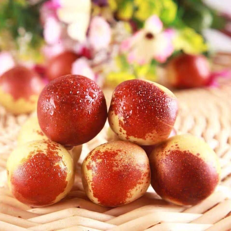 I'm picking up a big red date for a pregnant woman in the fresh season.