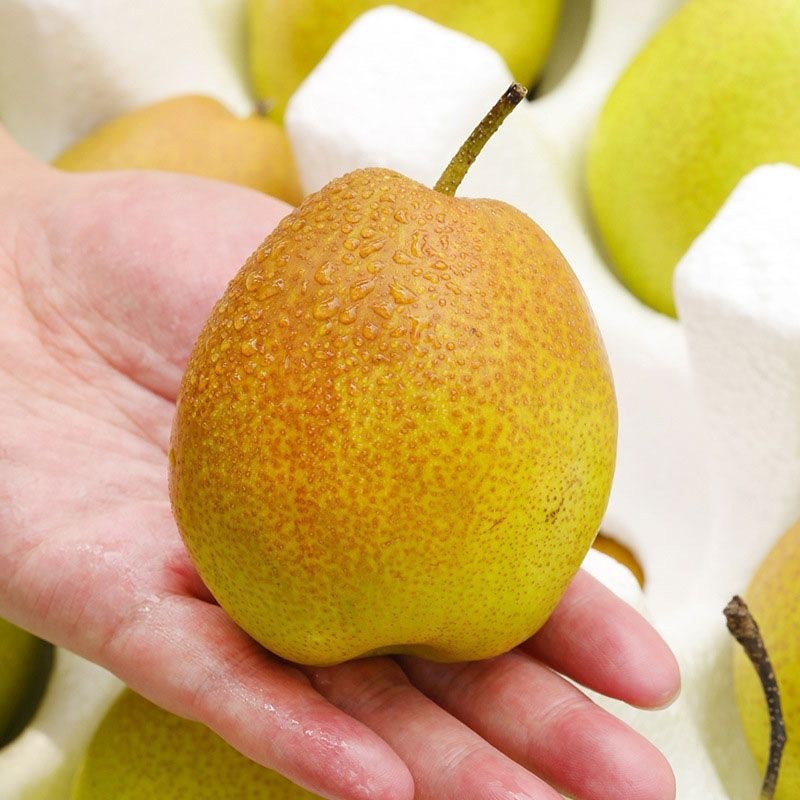 A box full of wholesales from the place where the red fragrance pear is produced.