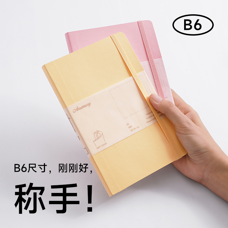 Amemory mềm B6 với một máy tính xách tay với một nhật ký mã hóa của một sinh viên đại học.