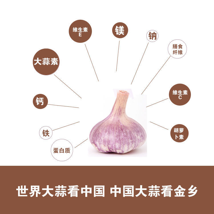 2024年紫白皮新鲜蒜头3.5-4.5厘米1斤大蒜头大蒜之乡产地直发批发