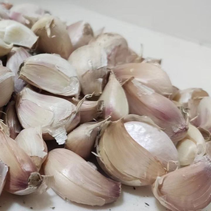 In 2024, a one-kilogram distribution was produced at the Garlic Craft.