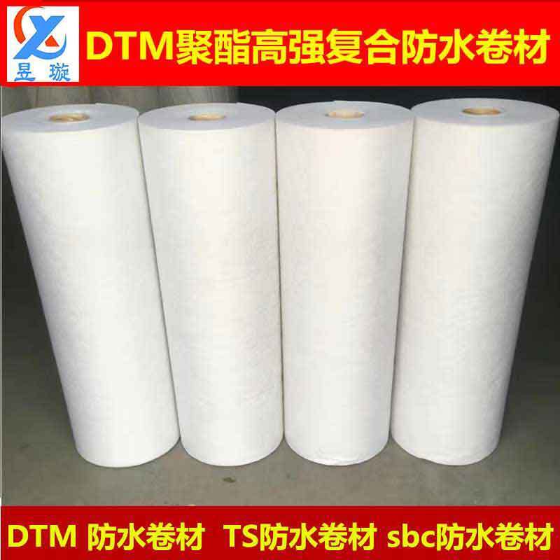 High-molecular water protection roll DTM polyester complex impregnated root penetrating water protection rolls, surface water protection rolls in the basement