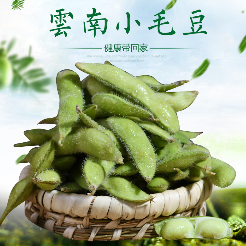 It's a long-term source of fresh beans.