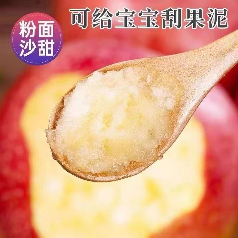 · 스크램블 사과 ♪