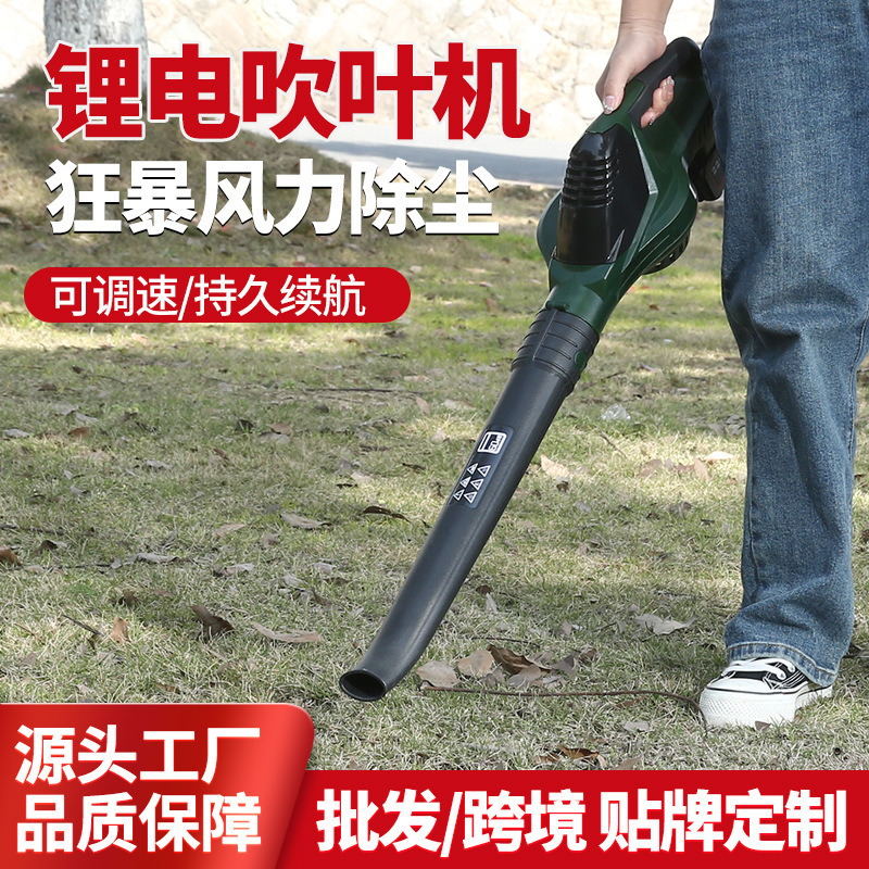 The electric snow blower, the lithium-charger, the industrial wind blower, the tree leaf, the windmaker.