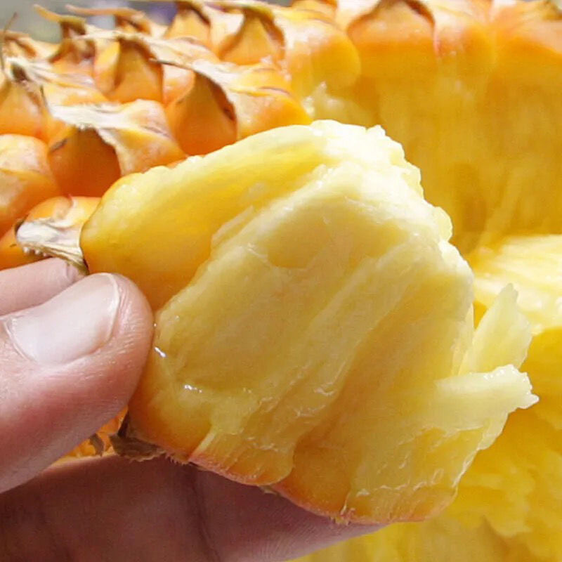 A box full of pineapple-sweet fruit hand torn out of the pineapple and juicy pineapple.