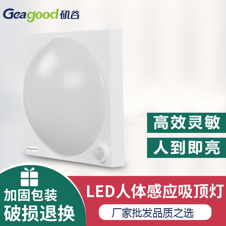 Human perceptive headlights are simple enough for modern bathroom light hallways to enter household balcony lamps.