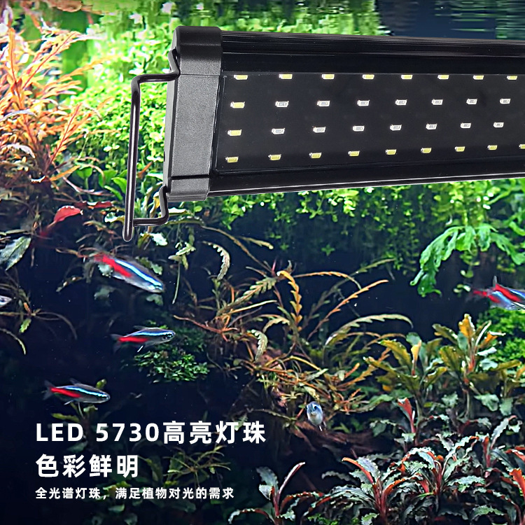 High-powered fish tank lamp LED light, full-spectrum aquarium lantern distribution.