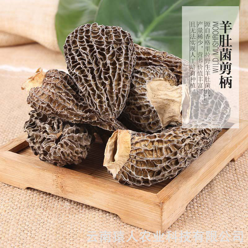 It's a fungus dry product.