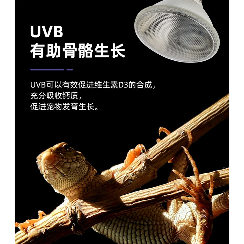 Guang Myung-gi is crawling over the UVA sunlight UVB UVB UV light UV light