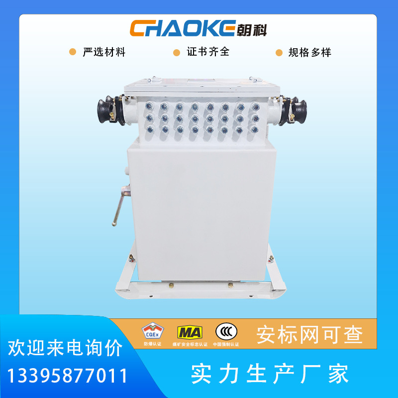 KXJ-2150140 (660) - 격리되고 inherently 안전한 전기 통제 상자