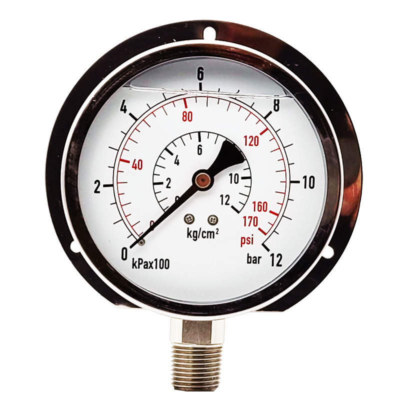 BeCO directs 100 mm 316 all stainless steel pressure gauges.