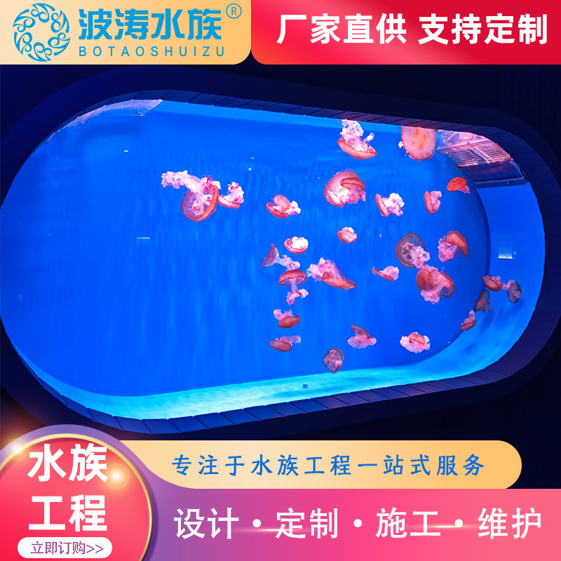 Aklik 대형 물고기 실린더의 공급, 생태 경관 수족관에 내장 된 Seaworker에 의해 설계, 큰 물고기 실린더