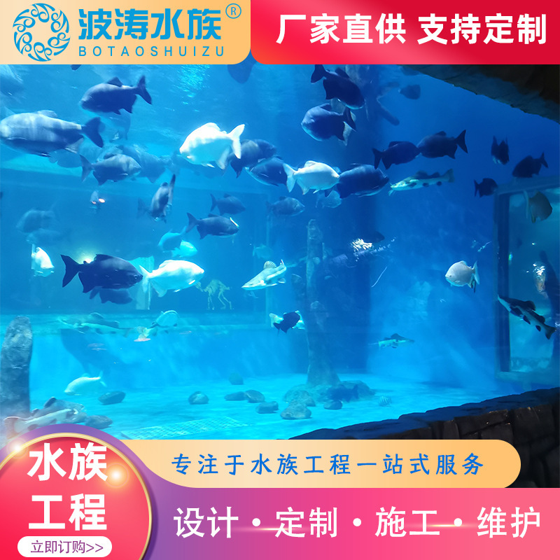 Aklik 대형 물고기 실린더의 공급, 생태 경관 수족관에 내장 된 Seaworker에 의해 설계, 큰 물고기 실린더