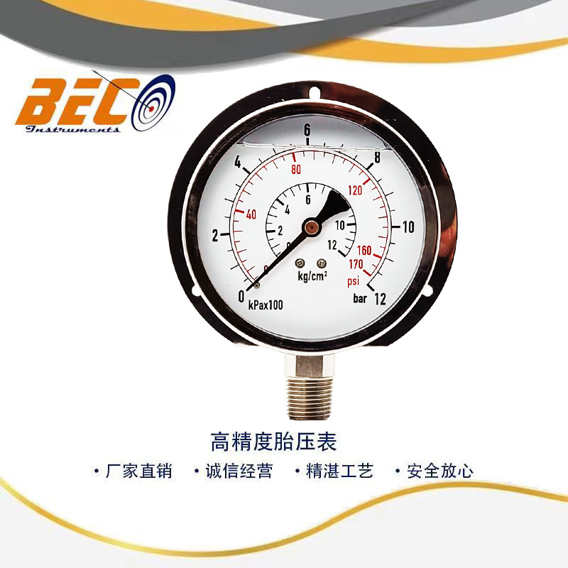 BeCO directs 100 mm 316 all stainless steel pressure gauges.