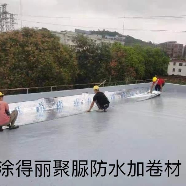 Waterproof paint, waterproofing, waterproofing, waterproofing, waterproofing.