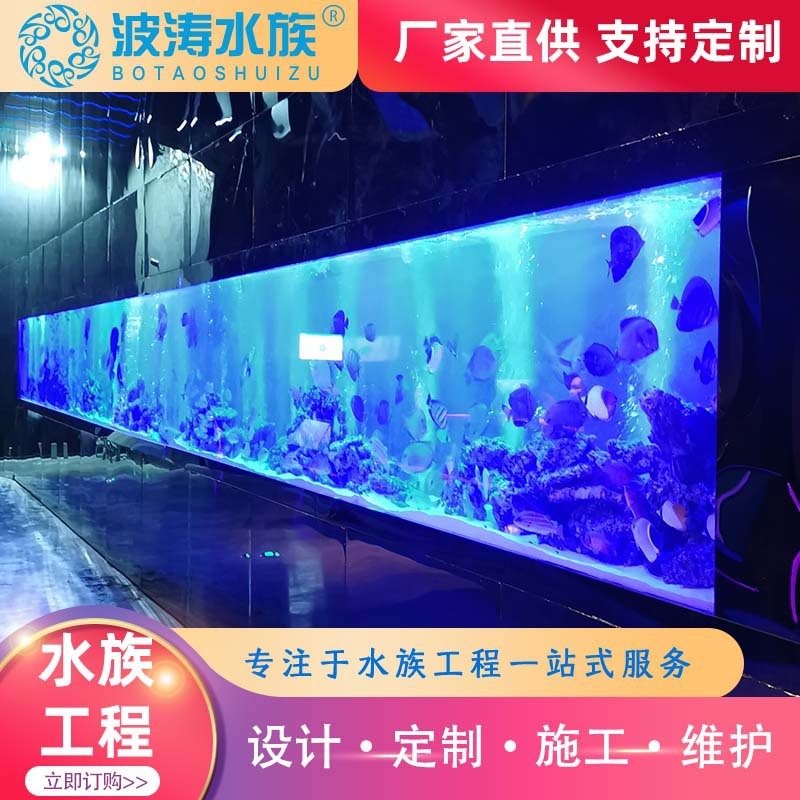 Bể cá lớn được thiết kế để xử lý và thiết kế bể cá lớn, và bể cá lớn, đồng hồ Accle, được tùy chỉnh để xem bể cá.
