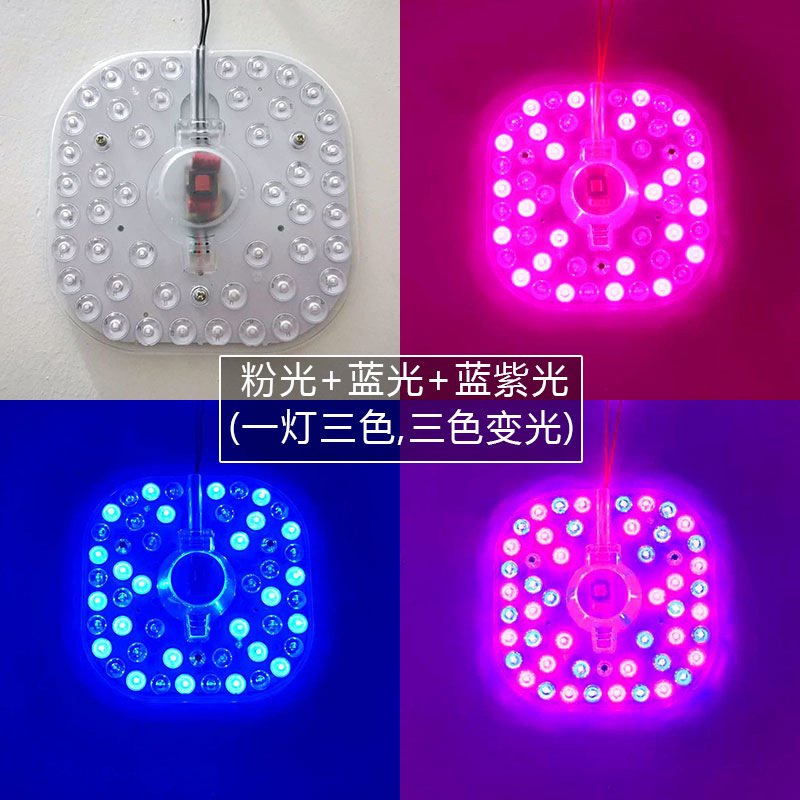 LED Toplight core colour replacement core magnetic suction module bedroom bedroom light rectangular rectification lamp