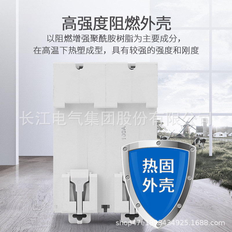 1P2P33P4P63A for electricity leak protection at DZ47-1254P