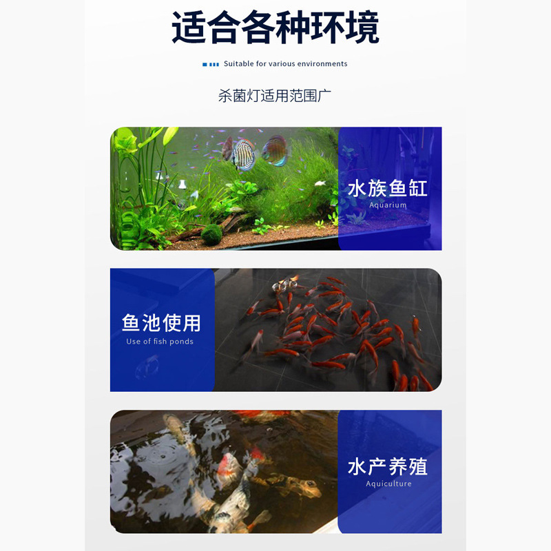 Đèn cực tím, tia UV, tia UV, UV, UV, UV, UV, UV, UV, UV, UV, UV, UV, UV, UV, UV, UV, UV, UV, UV, UV, UV, UV, UV, UV, UV, UV, UV, UV, UV, UV, UV, UV, UV, UV, UV, UV, UV, UV, UV, UV,ath, SW, SW, DF, CF, E.