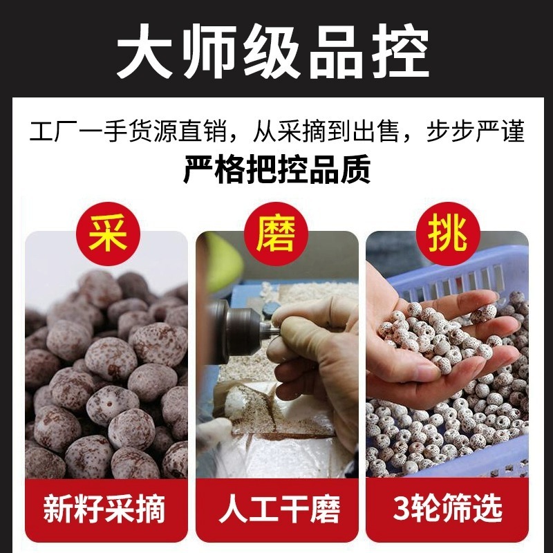 Heinama Moon Twilight Hand trong một loạt các cửa hàng buôn bán, những người đàn ông và phụ nữ chơi đùa với Khổng Tử.