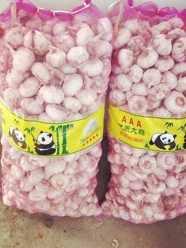 Tỏi, nhà máy nguồn cung cấp tỏi xuất khẩu cho đất nước.