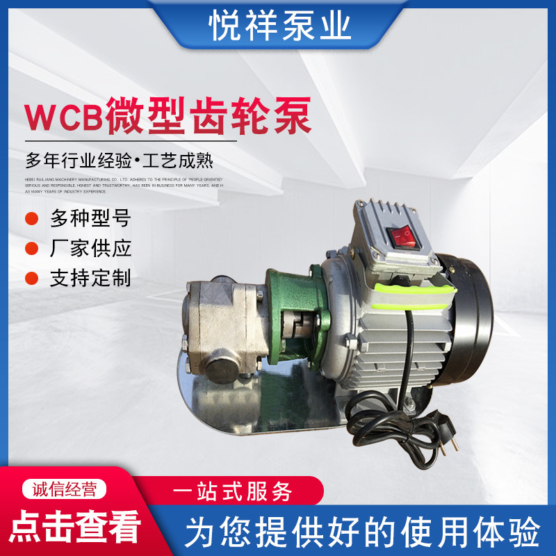 WCB mini gear pump, WCB portable gear pump, mini-electrical pump, sucking gear pump.