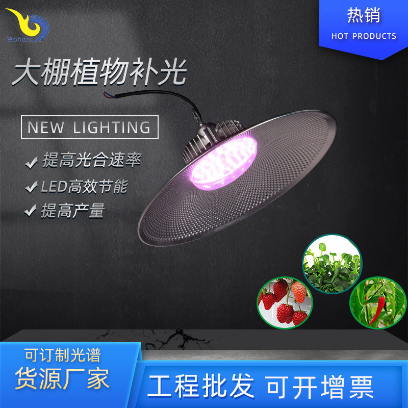 Plant growth lights are provided directly by the plant, plant lighting in the industrial ore shed, indoor seeding lamps.