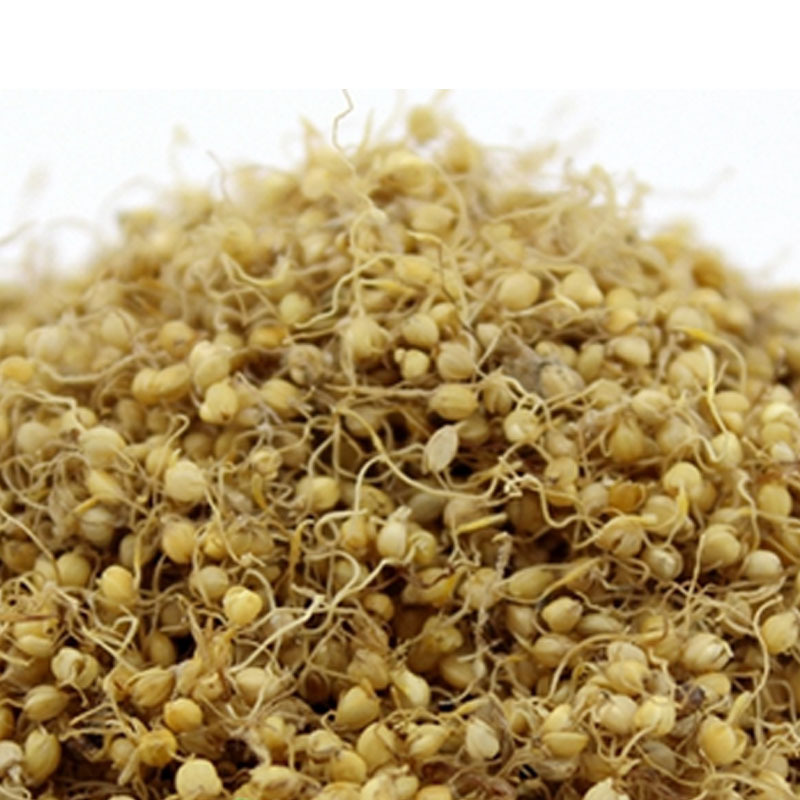 Một chồi, một chồi, một chồi, một chồi, 500 gram, một sản phẩm chính.