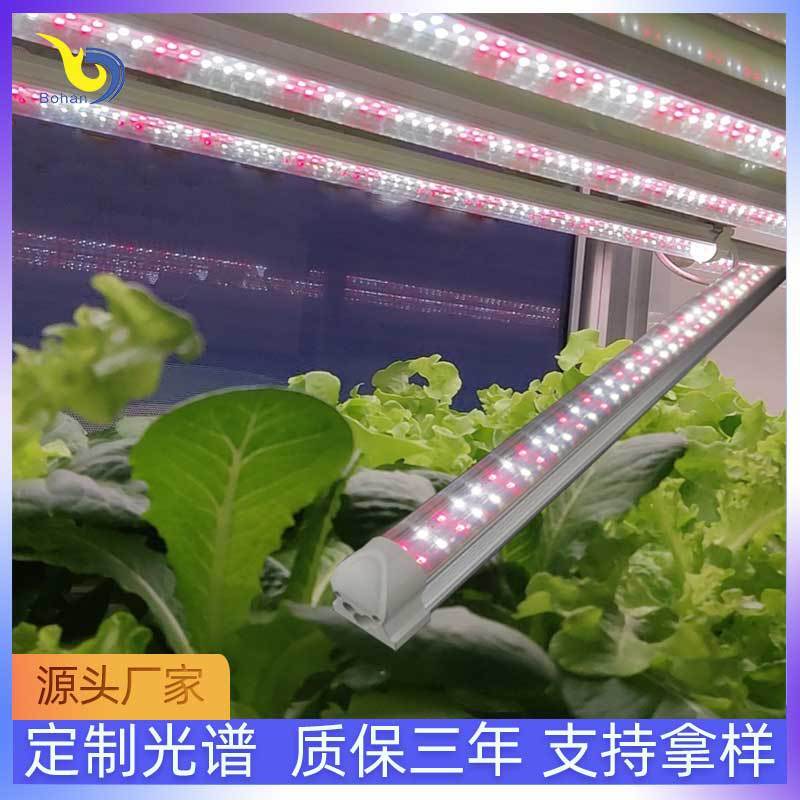 LED plant lamp tube hydroponic veggie multi-fatal plaster patch T8led plant solar tube