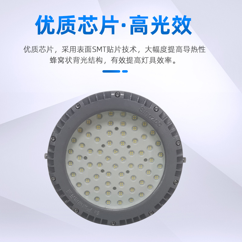 LED round blast-proof lamp BAT95-KA customised for the LED 3 lamp protection plant