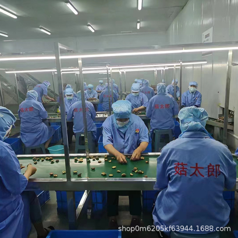 Kích cỡ của hai nấm khô bị mất nước ở nhà máy gốc có thể được xử lý để xuất khẩu