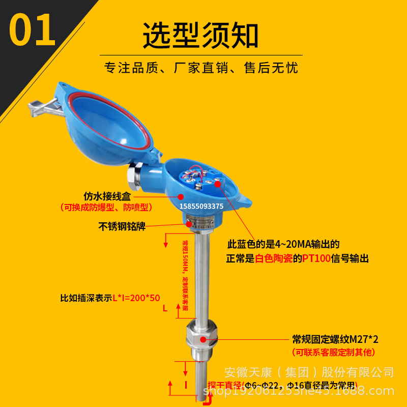 安徽天康热电阻铠装一体化温度变送器PT100铠装K型热电偶正品