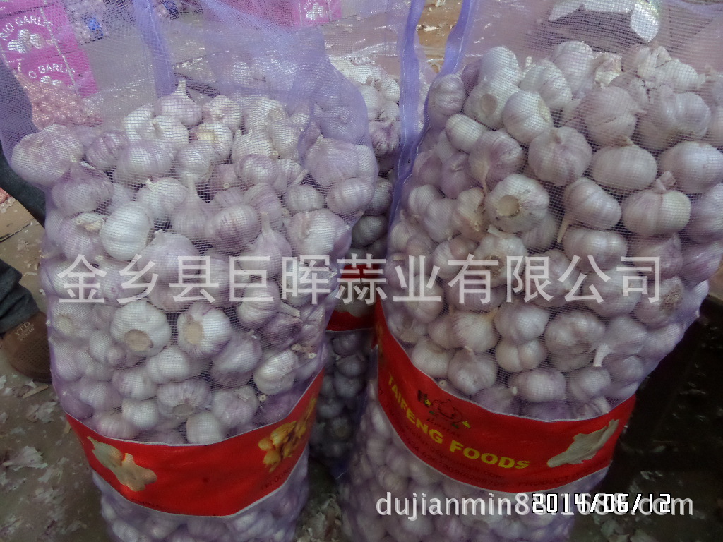 Cung cấp tỏi Bangladesh, 20kg bao tỏi, tỏi giá thấp và tỏi xuất ra.