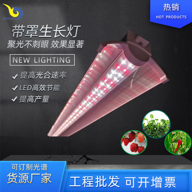 A new, big power-covered plant growth lamp, a red, blue, full-spectrum LED double-delay light.