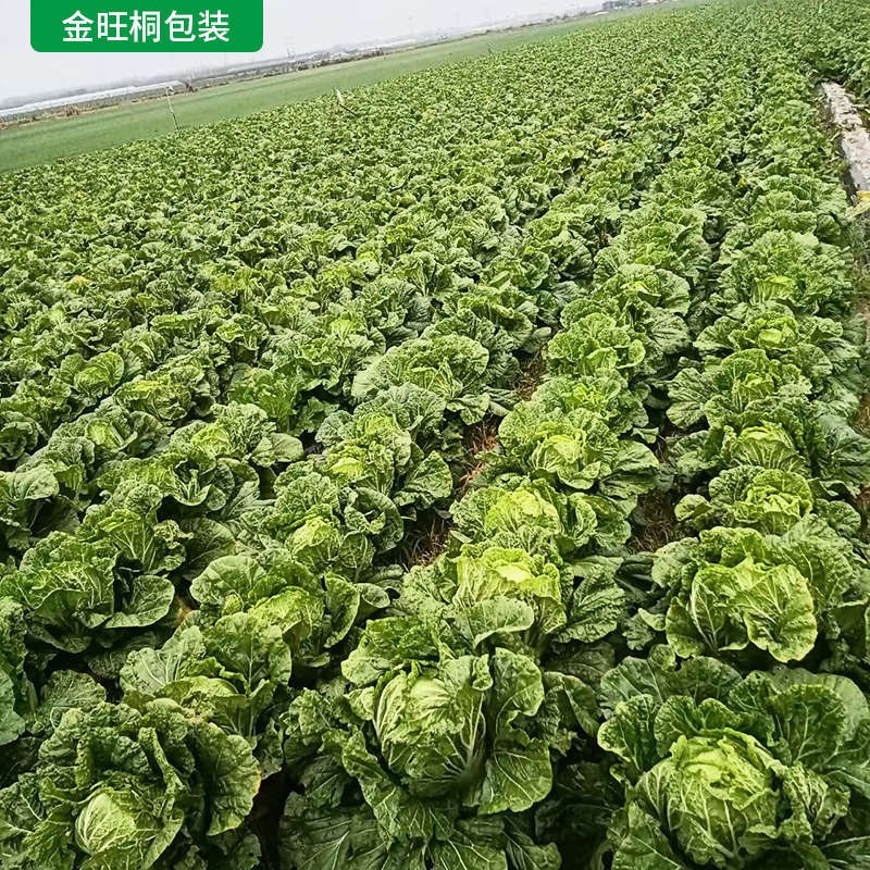 生产瓦楞纸箱 胶州大白菜彩印纸箱 供应青岛水果蔬菜包装彩箱