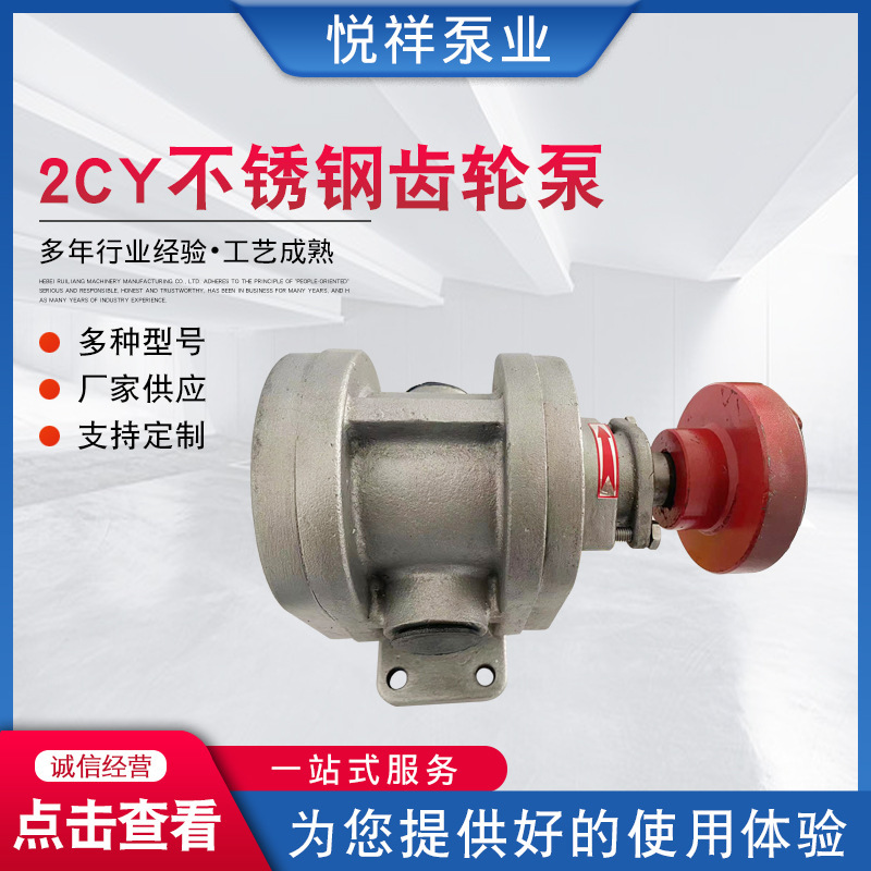 Factory 2CY gear pump stainless steel lubricating gear pump gear alloy 2CY gear pump