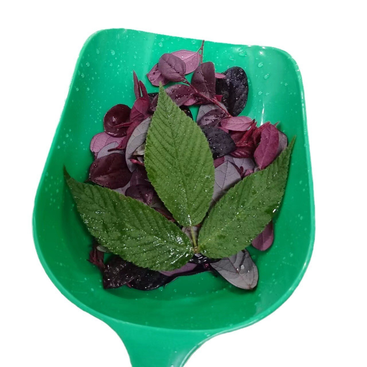 A plastic garden leaf clean spoon with a large capacity of roofing ditches for gardening and gardening.