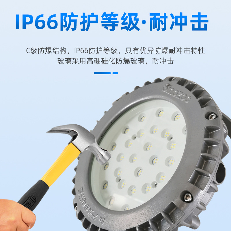 LED round blast-proof lamp BAT95-KA customised for the LED 3 lamp protection plant