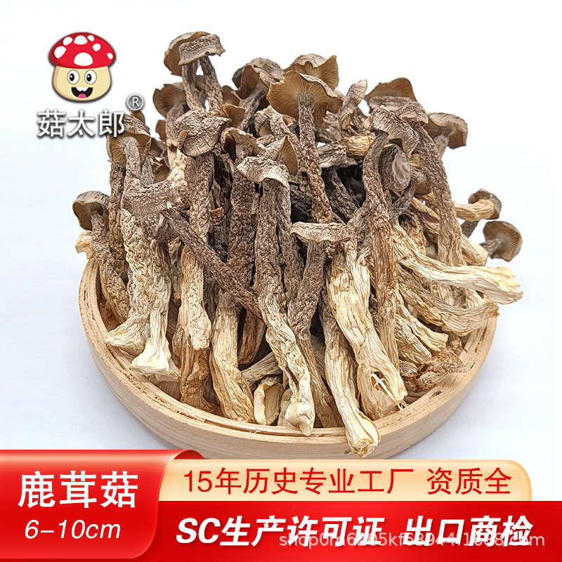 Nhưng xuất khẩu có thể kiểm tra chất dinh dưỡng của súp hơi với một nông trại nấm hươu.