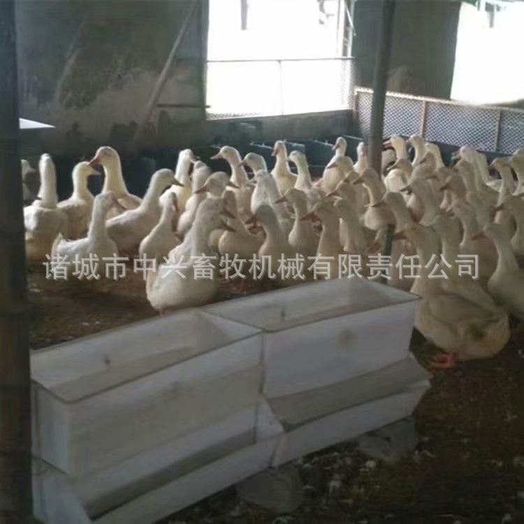 Gangsing Nanchang Anti-Aging White Duck Box Large-volume duck tank Long square plastic duck food tank