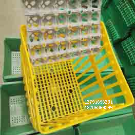 Thirty-six baskets of eggs.