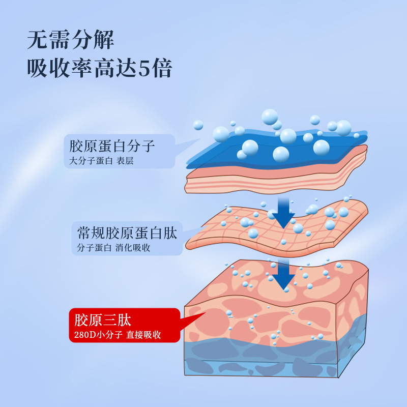 膠原三肽原料粉 膠原蛋白小分子活性肽蛋白粉口服液膠原三肽活性