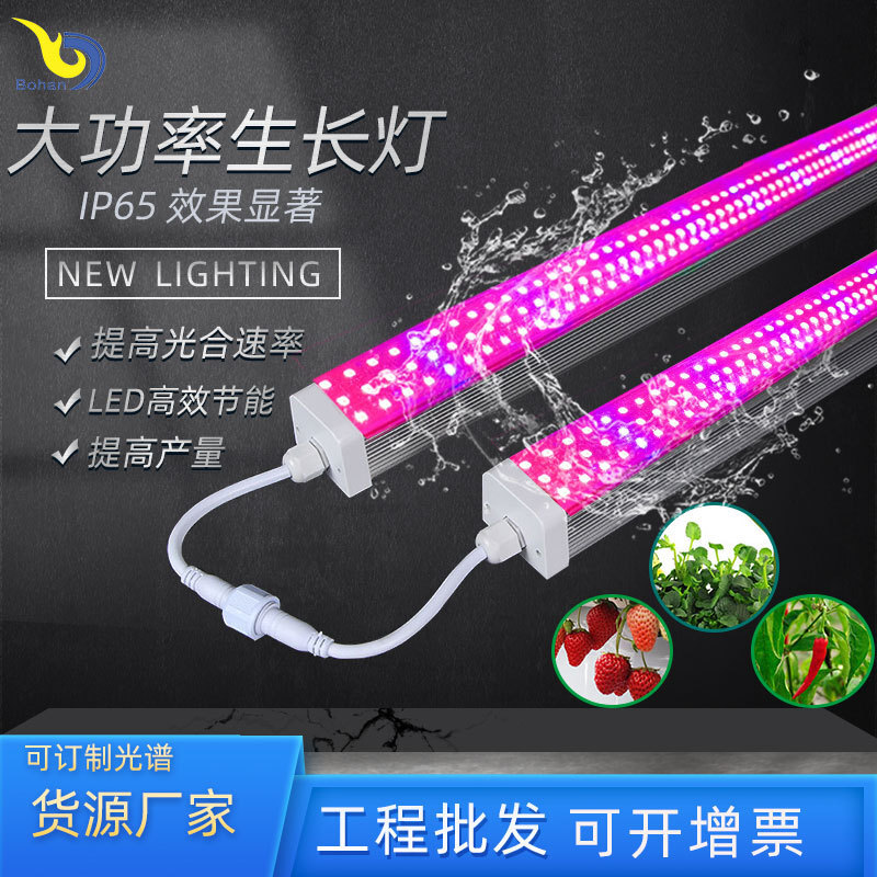 New, big-power plant-growing lanterns and vegetative vegetables, three rows of plant light IP65 grow light