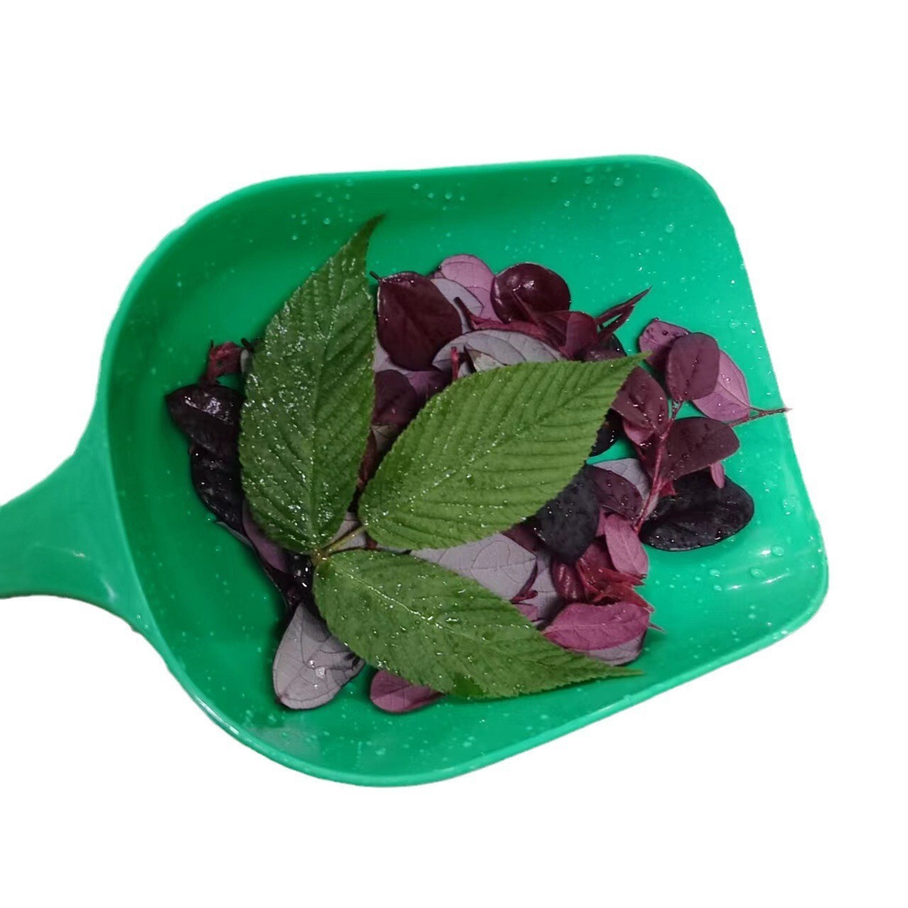 A plastic garden leaf clean spoon with a large capacity of roofing ditches for gardening and gardening.