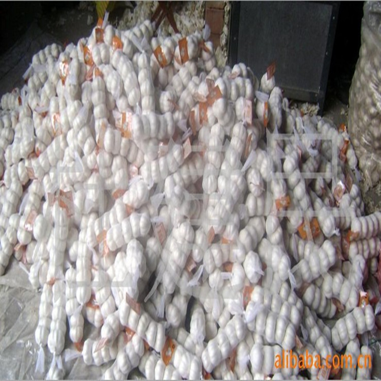Đất nước tỏi cung cấp tỏi.