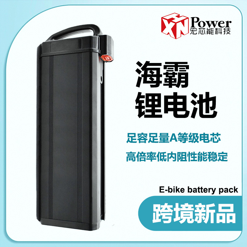 Direct sale of electric vehicle Fiido Lithium Batteries 48V20AH30AH telephone bicycle batteries in cross-border plants