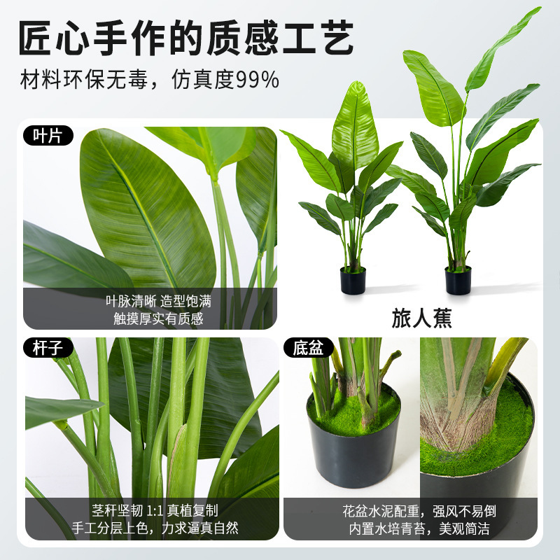 ของขวัญของครู การผสมต้นไม้สีเขียว เป็นการจําหน่ายพืชที่มนุษย์สร้างขึ้น ในห้องโถงที่อยู่อาศัยในกระถาง