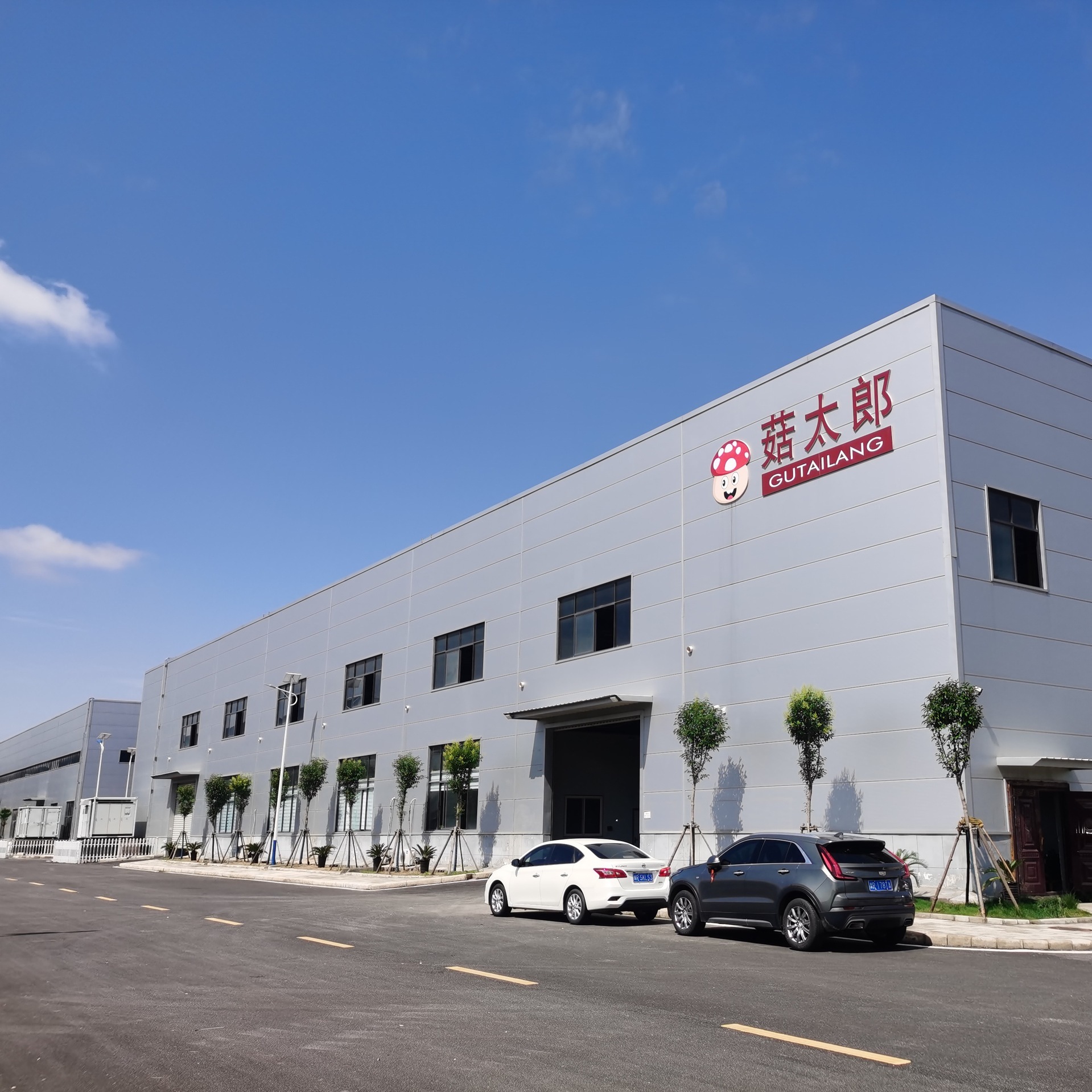 Nhưng xuất khẩu có thể kiểm tra chất dinh dưỡng của súp hơi với một nông trại nấm hươu.