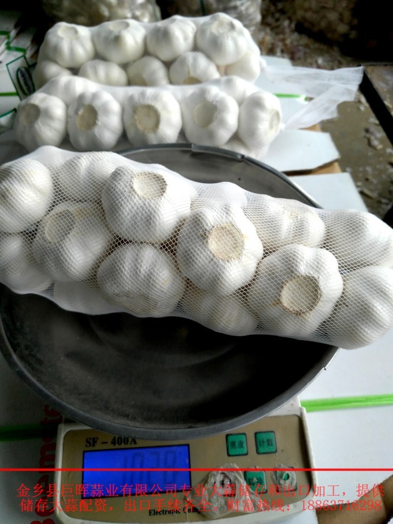 Cung cấp tỏi nguyên chất từ Úc